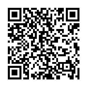 罗震也是在长青剑圣开口的第一时间便是做出了反应二维码生成