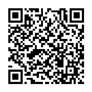 羊家少爷也不知道祸害了多少个清清白白的女孩子二维码生成