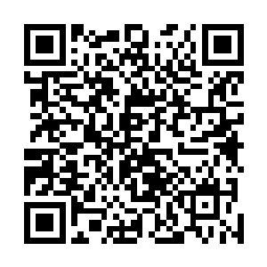 羊白身周便有着浓郁至极的血色气息笼罩住了他整个身形二维码生成