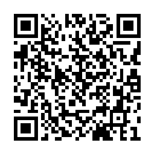 羊铁和羊家的几名天神境长老立即进入了客房中二维码生成