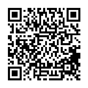 羊铁在凤来栖客栈被人斩断了一条手臂的事情把神禁军给惊动了二维码生成
