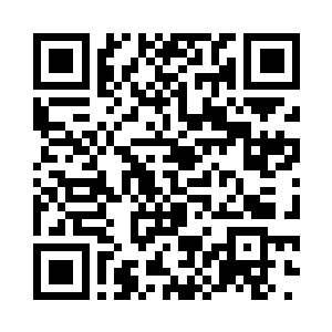 美丽的女子手里抚摸着一只拳头大小二维码生成