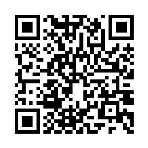 美丽的就是映入眼帘的是一片茂密的树林二维码生成