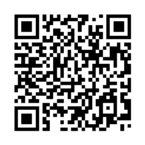 美丽的烟花像一颗颗流星从天而降二维码生成