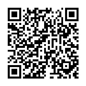美佳姐不是答应了将我在学校那边的事情给搞定么二维码生成