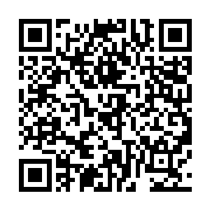 美国人这边也有只不过平常人没有机会能对着富翁呲牙而以二维码生成