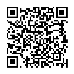 美国偶像这档制造明星的综艺节目开始正式走上风口浪尖二维码生成