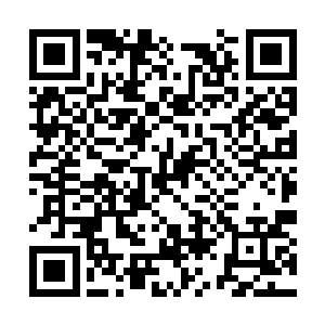 美国政府对待恐怖袭击的态度是非常敏感和强硬的二维码生成
