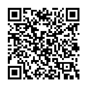 羽化阶的八爪鱼怪觉得海里其他的肉都成了渣渣二维码生成