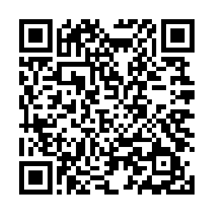 羽落带着雷林走入了仿佛古希腊神庙一样的图书馆大门二维码生成