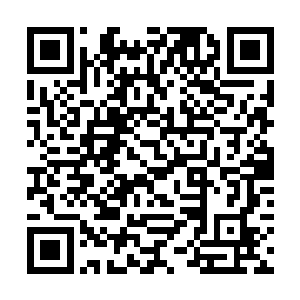 翎萱望着场中冲着自己露出满脸嘲弄表情的老家伙们二维码生成