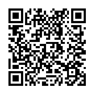 翎萱眼眶红红的看着这个睿智的支撑着云家的老人二维码生成