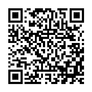 翔飞绷紧的身体和因为过度戒备立起来的汗毛都证明了很多事情二维码生成