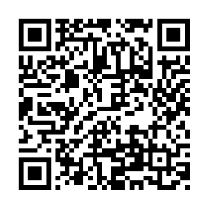 翡翠公子和火工公子又不是两大势力的绝世天才二维码生成