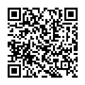 翻拍网络资源销量榜上前十的作品都是他的可能性二维码生成