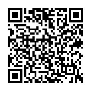 老余又拿了个木提篮的四格食盒装了两份红烧肉二维码生成