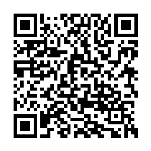 老刘是自张卫东成为这里的新主人后第一次上门二维码生成