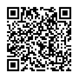 老十九临去北平前给你的手札确实是张氏亲手所写二维码生成