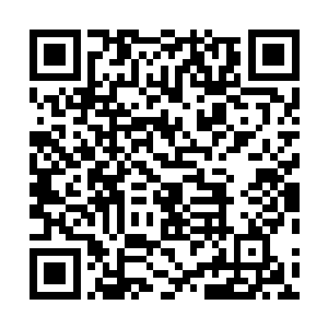老哥我参加这届交流会的目的就是希望能取回祖师的法器二维码生成
