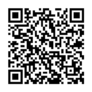 老大你的意思是这鬼羊军真正的主人是第一帝子二维码生成