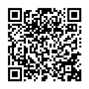 老大要求把委员会1888步枪进行改进能发射尖头弹的问题解决了二维码生成