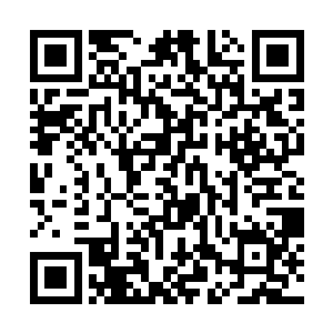 老太太也是对自家的老头子做了一个稍安勿躁的手势二维码生成