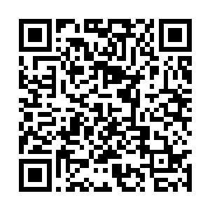 老太太的意思是要将主持中馈的权力交还给媳妇吗二维码生成