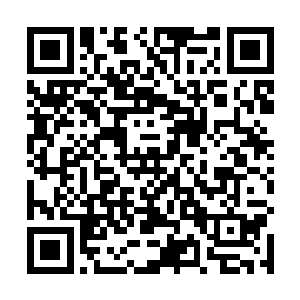 老太太看向身边的沈嬷嬷刚要开口就被沈婉瑜给拦截了二维码生成