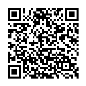 老太太跟粉黛已经快要被愤怒的刁民们给打扁了二维码生成