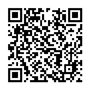 老太爷这是希望二姑娘能有柳枝那样顽强的生命力二维码生成