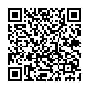 老夫人说了那句话后觉得似乎有些不合适于是看向大孙子二维码生成