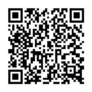 老夫劝你还是老老实实滚回花果山安心当山大王的好二维码生成