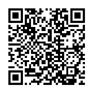 老夫本来想要好好的与城主讨论一下这天下秩序该如何拟定的二维码生成