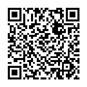 老夫的家人和姬氏族人还都被困在后殿洞府宅院中二维码生成