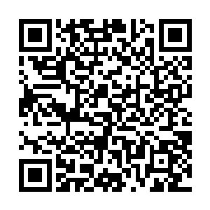 老夫这一双已经沾满鲜血的手可不介意再用鲜血粉刷一遍二维码生成