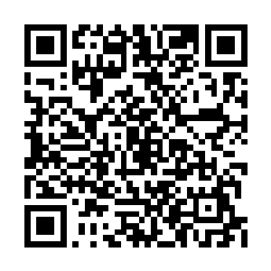 老头已经把大门内原本给门房准备的椅子搬出来二维码生成