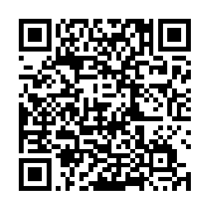 老妈说着话的时候已经看到了手机屏幕上白奇雪的名字二维码生成