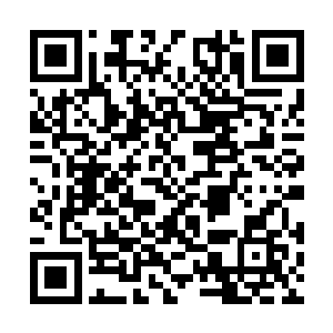 老子这个正局长在他这个副局长面前都感到累的慌二维码生成