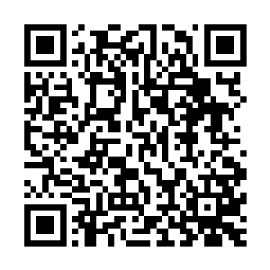 老学究都有些怀疑钱老爷子为什么给他们弄来这么一个家伙了二维码生成