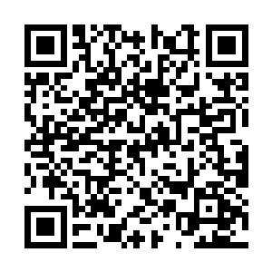 老实说他没想到成熟的雪珍姐会有如此单纯的一面二维码生成