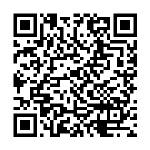 老师这次亲自出面谈事就导火出这一系列连锁事件呢二维码生成