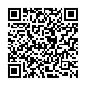 老朽一定会尽最大努力尽快帮天傲长老申请下来的二维码生成