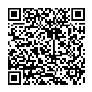 老板你真的没关心这几天真人秀节目的发展……明天就该是最后的完结时间了二维码生成