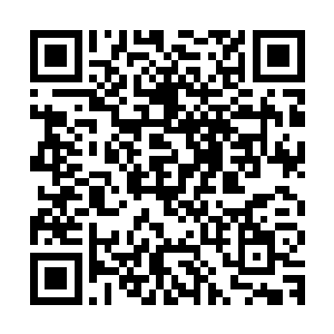 老爷在夫人和大小姐离开的第三天就忽然被宗人的府的人带走了二维码生成