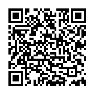 老爷子亲自出马邀请了十二家巨头会商了好几天二维码生成