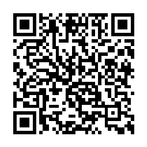 老爷子和老太太两个人并没有要立刻出去的意思二维码生成