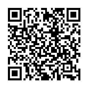 老爷子真的把这个还没有出世的小孙子当心肝儿一样捧着二维码生成