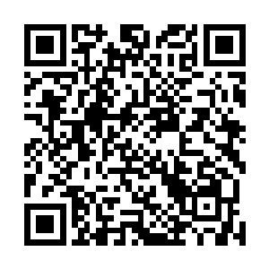 老祖们也会为了各自的分支竭力争取更多更大的资源倾斜二维码生成