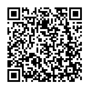 老祖宗更是当场便欲将跟随在自己身后几十年的影卫指派来保护小凤儿二维码生成