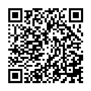 老祖宗满脸狂喜却小心翼翼地从水菲菲的手中接过孩子二维码生成